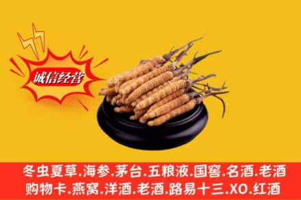 烟台市栖霞求购回收虫草多少钱每克